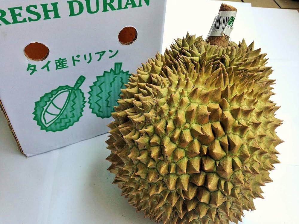 『数量限定特売』5-6kg （2-3玉）タイ産ドリアン モーントーン 金枕榴莲 Amazon | タイ産 ドリアン 濃厚 冷凍 (400g) 種あり モントーン